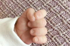 0735olivia11