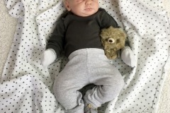 Pedrinho