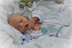 0269rodrigojr03