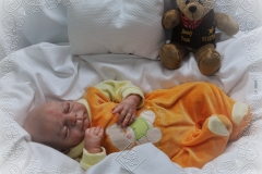 0269rodrigojr08