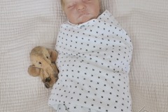 0717sebastian10