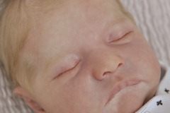 0717sebastian11